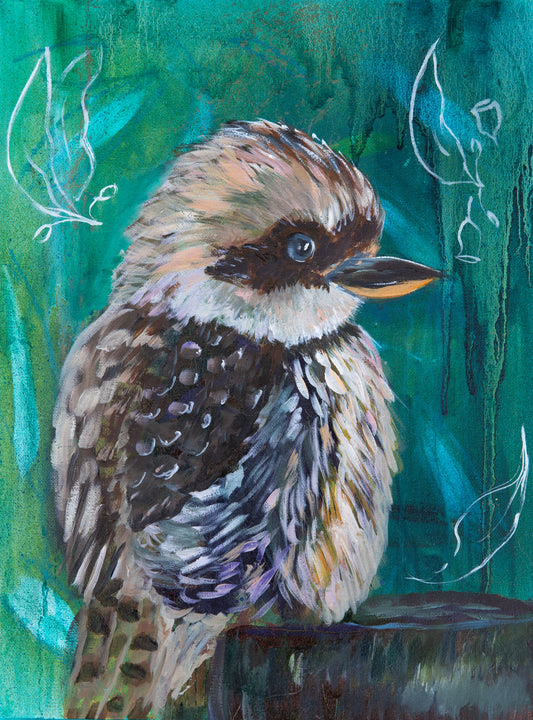 Baby Kooka